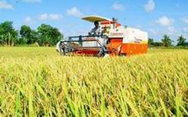 Nâng cao năng suất, chất lượng sản phẩm, hàng hóa nông nghiệp